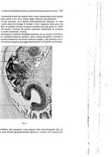 Bollettino d'oculistica periodico d'oculistica pratica