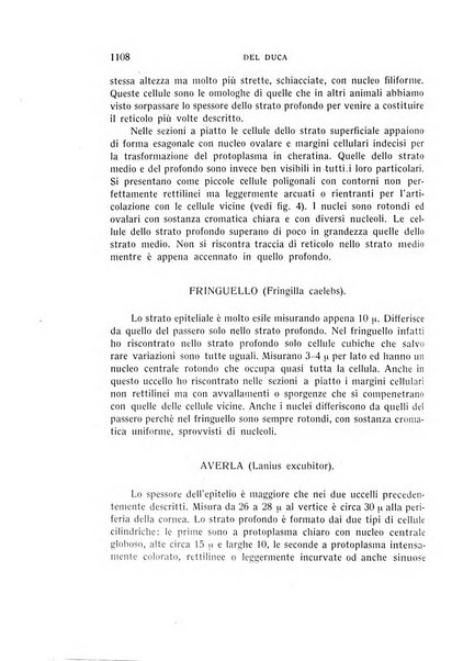 Bollettino d'oculistica periodico d'oculistica pratica