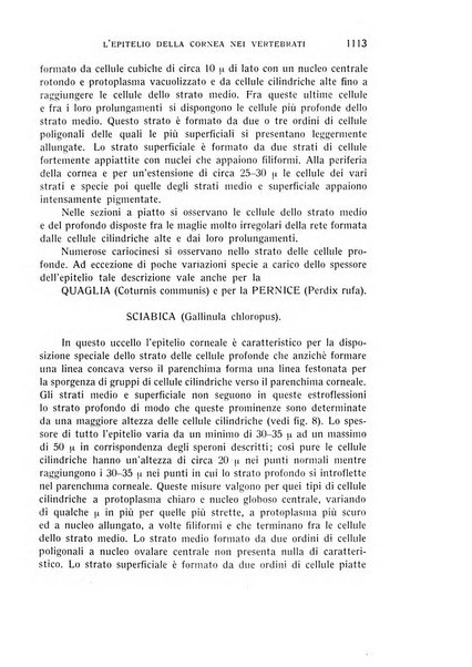 Bollettino d'oculistica periodico d'oculistica pratica