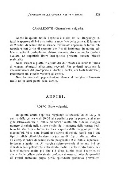 Bollettino d'oculistica periodico d'oculistica pratica