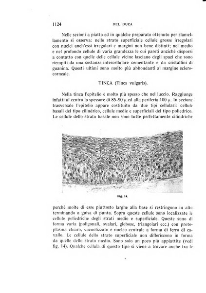 Bollettino d'oculistica periodico d'oculistica pratica