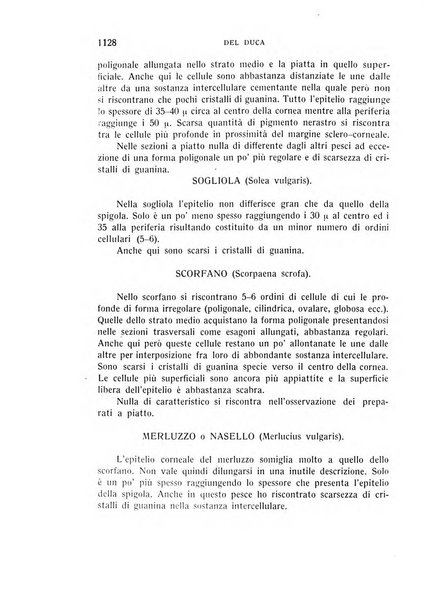 Bollettino d'oculistica periodico d'oculistica pratica