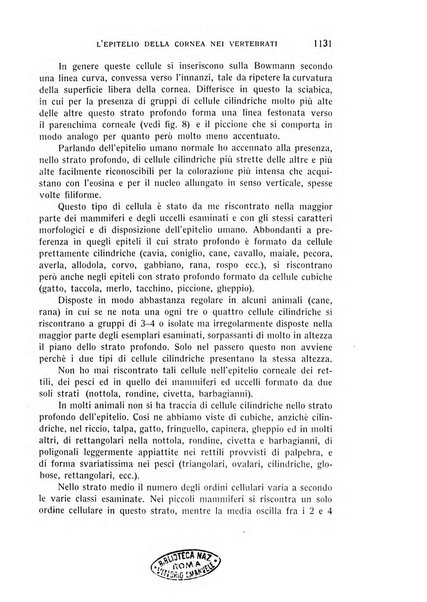 Bollettino d'oculistica periodico d'oculistica pratica