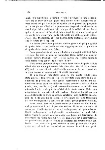 Bollettino d'oculistica periodico d'oculistica pratica