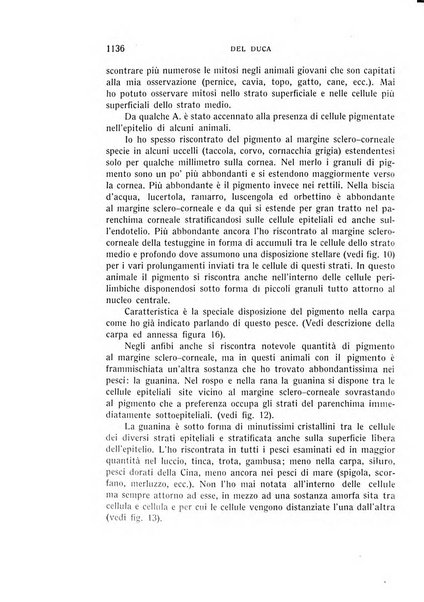 Bollettino d'oculistica periodico d'oculistica pratica