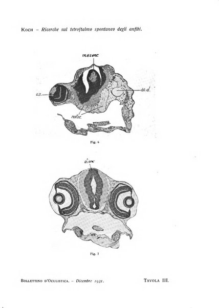 Bollettino d'oculistica periodico d'oculistica pratica