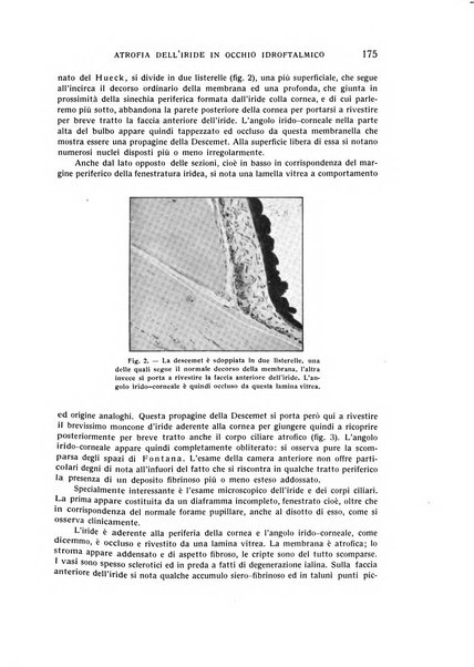 Bollettino d'oculistica periodico d'oculistica pratica