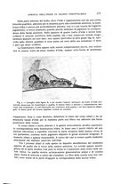 giornale/CUB0703669/1933/unico/00000191