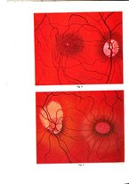 giornale/CUB0703669/1933/unico/00000216