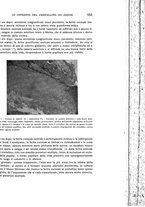 giornale/CUB0703669/1933/unico/00000691