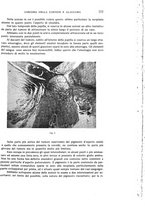 giornale/CUB0703669/1933/unico/00000819