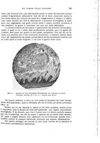 giornale/CUB0703669/1933/unico/00000835