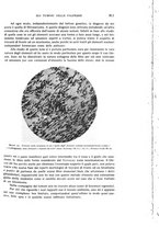 giornale/CUB0703669/1933/unico/00000853