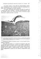 giornale/CUB0703669/1933/unico/00000963