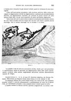 giornale/CUB0703669/1933/unico/00000999