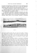 giornale/CUB0703669/1933/unico/00001007