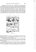 giornale/CUB0703669/1933/unico/00001009