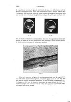 giornale/CUB0703669/1933/unico/00001458