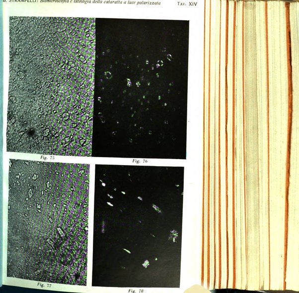 Bollettino d'oculistica periodico d'oculistica pratica