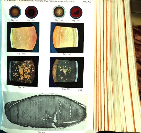 Bollettino d'oculistica periodico d'oculistica pratica