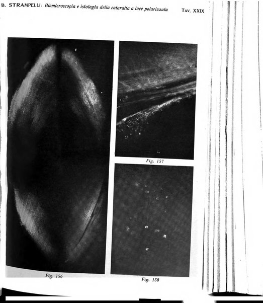 Bollettino d'oculistica periodico d'oculistica pratica