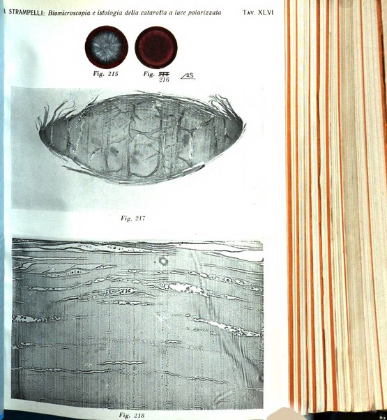 Bollettino d'oculistica periodico d'oculistica pratica