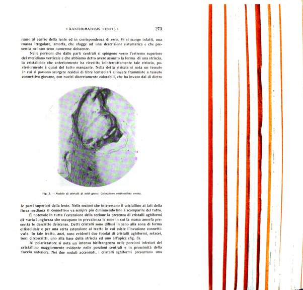 Bollettino d'oculistica periodico d'oculistica pratica