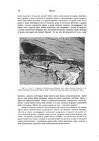 giornale/CUB0703669/1936/unico/00000024