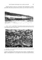 giornale/CUB0703669/1936/unico/00000025