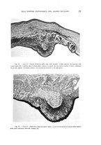 giornale/CUB0703669/1936/unico/00000029
