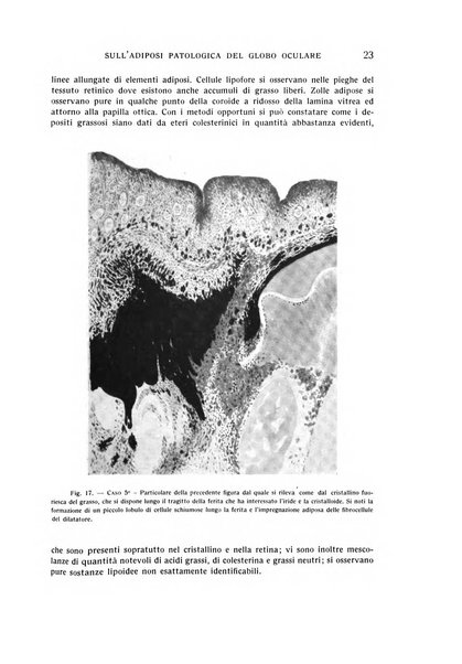 Bollettino d'oculistica periodico d'oculistica pratica