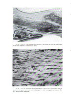 giornale/CUB0703669/1936/unico/00000034