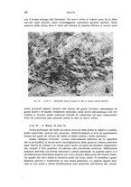 giornale/CUB0703669/1936/unico/00000038