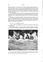 giornale/CUB0703669/1936/unico/00000046