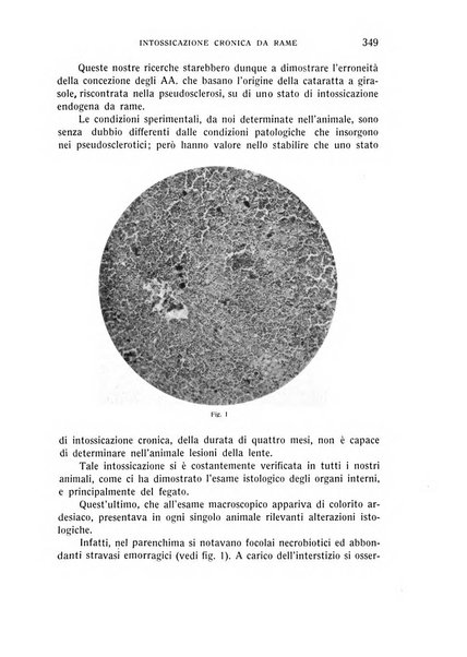 Bollettino d'oculistica periodico d'oculistica pratica