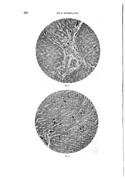 Bollettino d'oculistica periodico d'oculistica pratica