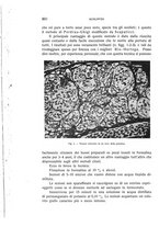 giornale/CUB0703669/1936/unico/00000626