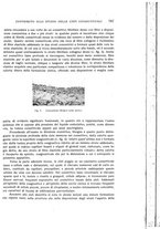 giornale/CUB0703669/1936/unico/00000821