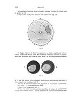 giornale/CUB0703669/1936/unico/00001134