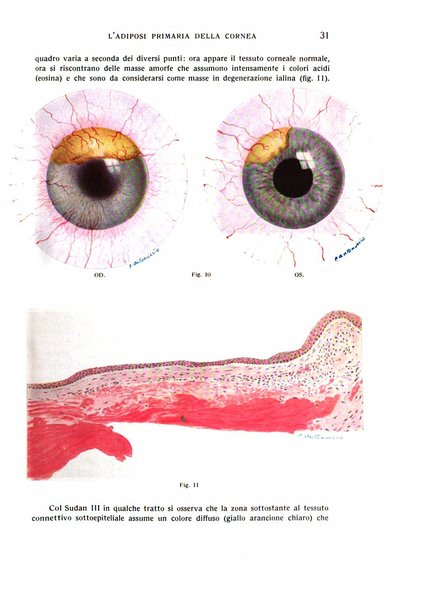 Bollettino d'oculistica periodico d'oculistica pratica