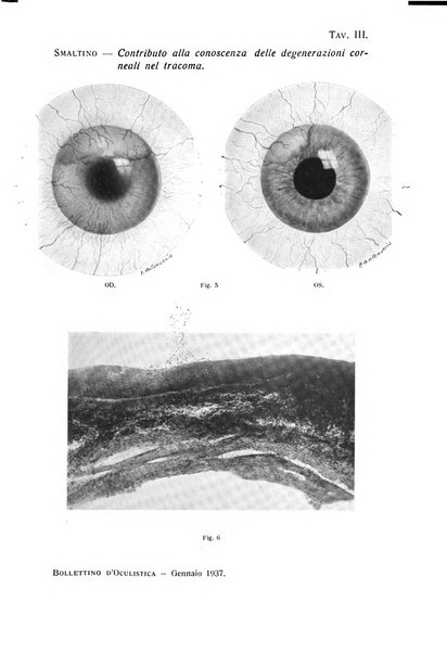 Bollettino d'oculistica periodico d'oculistica pratica