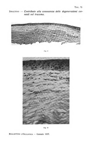 Bollettino d'oculistica periodico d'oculistica pratica