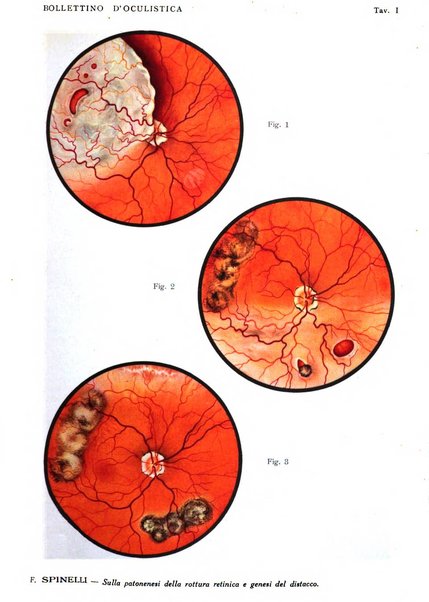 Bollettino d'oculistica periodico d'oculistica pratica