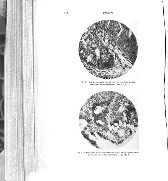 Bollettino d'oculistica periodico d'oculistica pratica