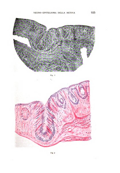 Bollettino d'oculistica periodico d'oculistica pratica