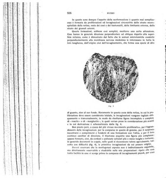 Bollettino d'oculistica periodico d'oculistica pratica