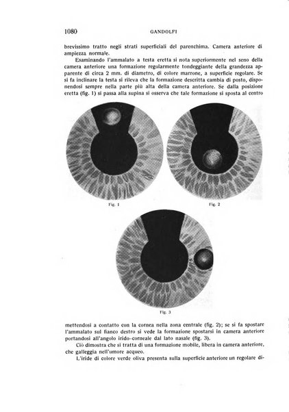 Bollettino d'oculistica periodico d'oculistica pratica