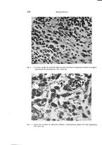 giornale/CUB0703669/1938/unico/00000224