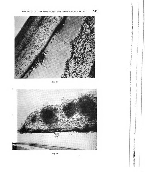 Bollettino d'oculistica periodico d'oculistica pratica