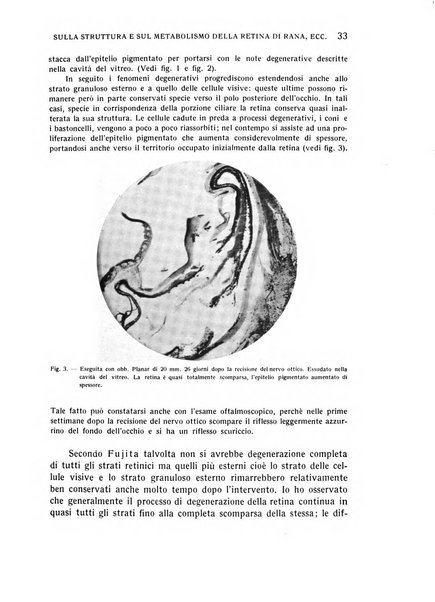 Bollettino d'oculistica periodico d'oculistica pratica